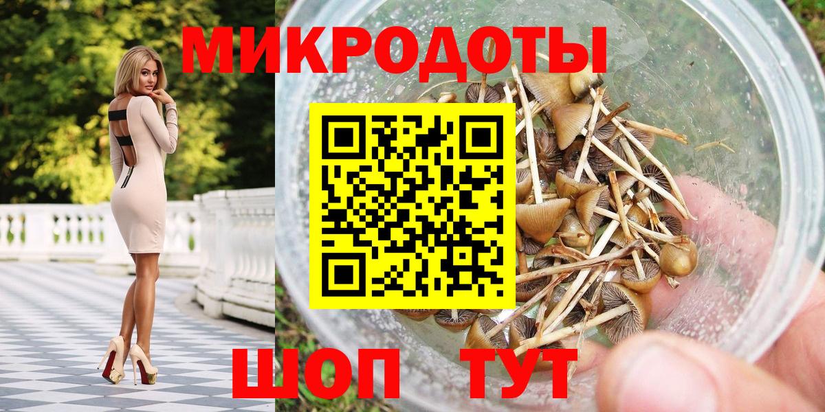 Галлюциногенные грибы Psilocybe  Вход с VPN  Саров 
