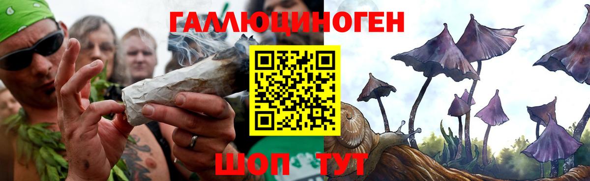 Псилоцибиновые грибы Magic Shrooms Саров